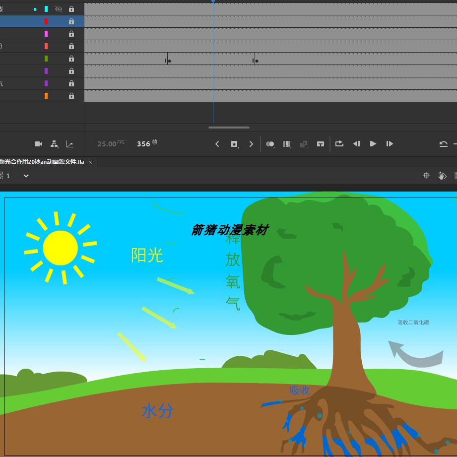 课件动画019植物光合作用20秒an动画源文件