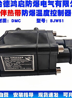 电伴热带专用防爆温度控制器