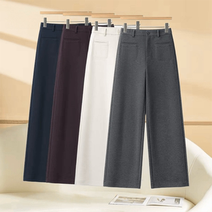 窄版直筒裤女2025秋冬新款简约气质百搭松紧腰高腰垂感大码休闲裤