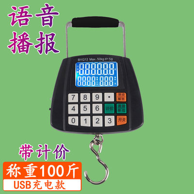 type-c充电语音计价手提秤