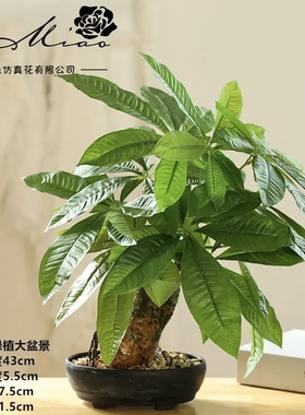 新款仿真发财树绿植大盆景