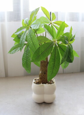仿真发财树绿植摆设大盆景假花家居仿真花植物摆件办公桌面装饰品