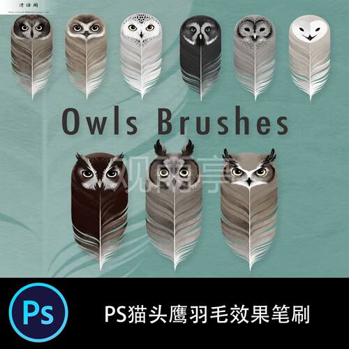 PS笔刷画笔笔触高清晰猫头鹰羽毛效果CG绘画插画ABR预设素材