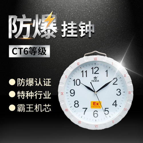 天鹤石英钟防爆钟BSZ挂钟电子钟