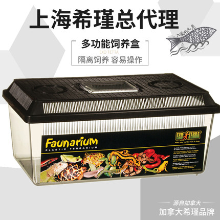希瑾爬宠箱守宫饲养箱蜥蜴蛇蜘蛛甲虫蝎子爬虫箱亚克力角蛙饲养