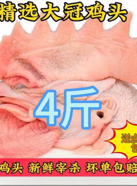 食品级大冠子鸡头生鲜速冻公鸡头鸡头烧烤大鸡头摆摊新鲜