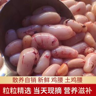 公鸡腰小号新鲜精品冷冻公鸡蛋鸡肾鸡卵子