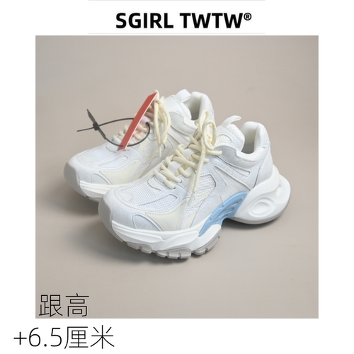 SGIRL复古单网面厚底老爹鞋