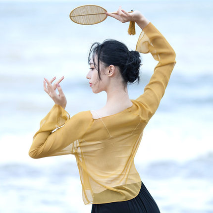 古典舞练功服女舞蹈服上衣身韵纱衣飘逸仙气演出服中国舞服装夏季