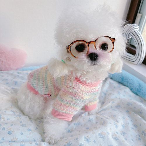 糯米家墨镜摆拍凹造型小型眼镜