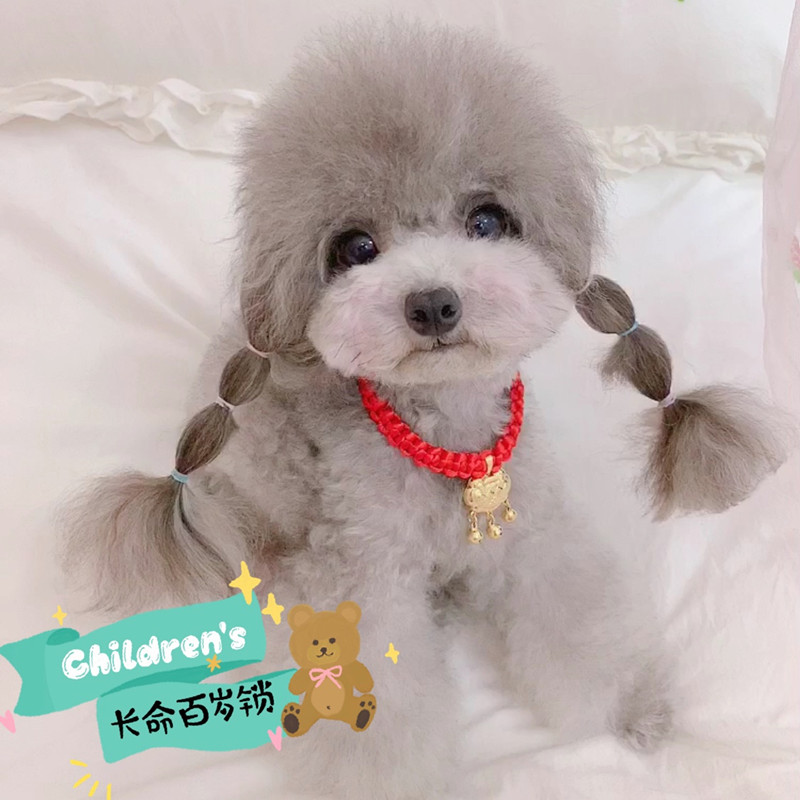 包邮狗狗长命锁项链调节小型犬宠物饰品猫咪挂饰吊坠泰迪铃铛项圈