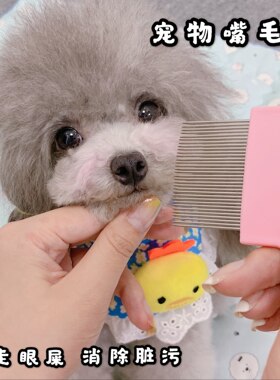 狗狗新款嘴宠物针梳去浮毛的梳子