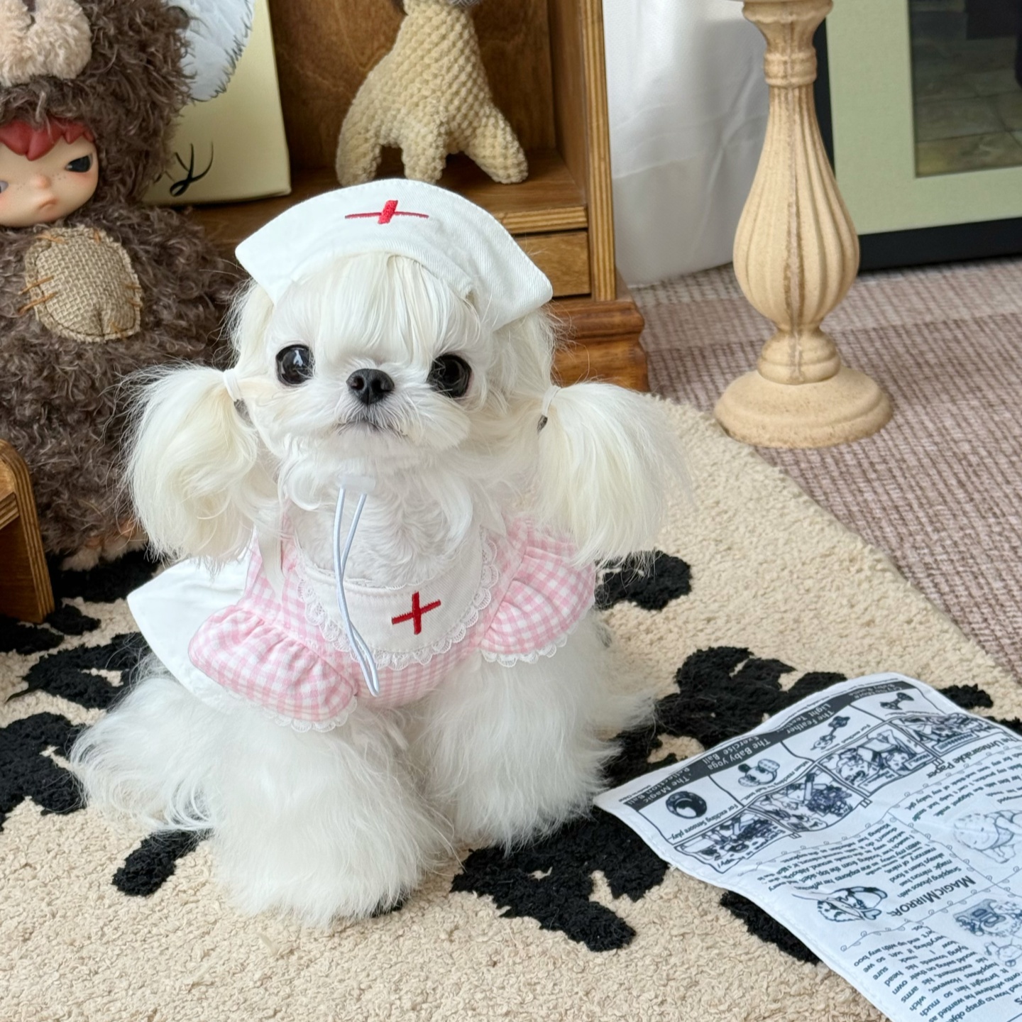 新款变装小护士刺绣飞袖蕾丝格子裙宠物猫狗衣服棉帽子比熊春秋装