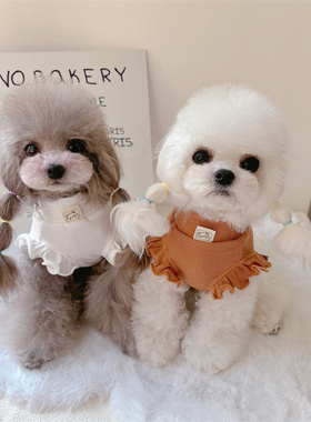 宠物百搭春款小熊飞袖韩版打底猫狗衣服泰迪比熊马尔济斯纯色内搭