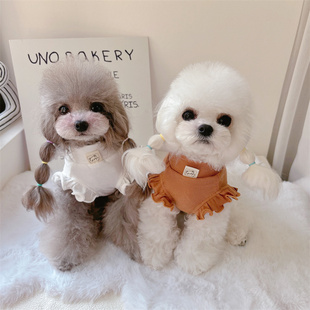 打底猫狗衣服泰迪比熊马尔济斯纯色内搭 韩版 宠物百搭春款 小熊飞袖