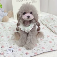 Тупые медведи (холодные коврики+рукава с подушками)