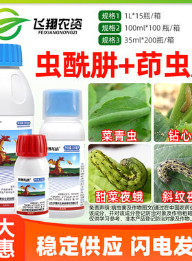 京博龙战甜菜夜蛾菜青虫杀虫剂
