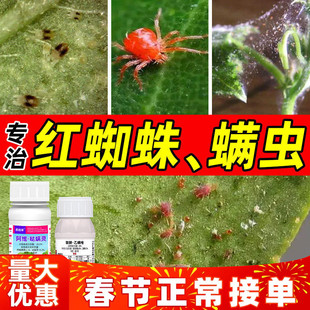 红蜘蛛专用药杀螨剂杀虫剂阿维菌素哒螨灵联苯肼酯乙螨唑果树组合