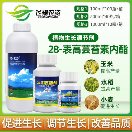 120万增糖提高产量芸苔素内酯
