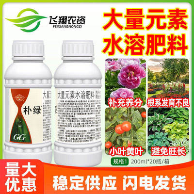 国光朴绿氮磷钾高含量铁锌硼花卉蔬菜补素壮根小叶黄叶水溶叶面肥