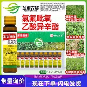 水花生净氯氟吡氧乙酸异辛酯烂根剂小麦高粱玉米田阔叶杂草除草剂
