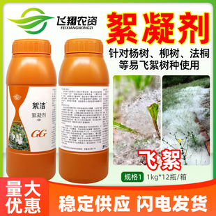 国光絮洁絮凝剂抑制杨树柳树法桐飞絮降低飞絮凝聚防治飘絮抑絮剂