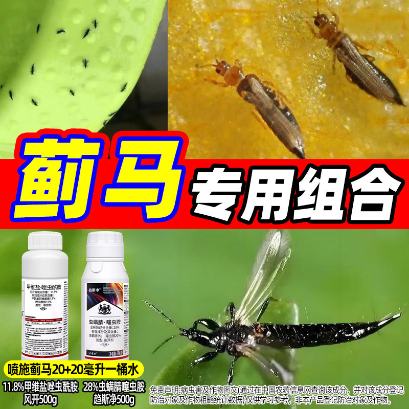 蓟马专用药甲维唑虫酰胺虫螨腈噻虫胺蔬菜茄子蓟马组合农药杀虫剂