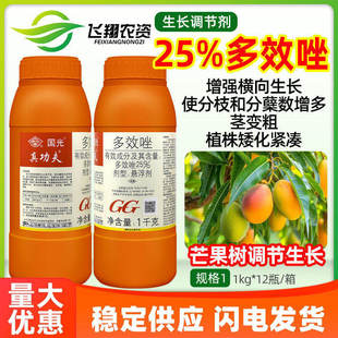 国光真功夫25%多效唑芒果树矮壮素促进分蘖矮化剂控旺生长调节剂