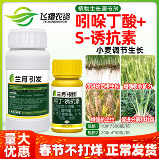 兰月根团 1%吲哚丁酸诱抗素小麦抗逆壮根分蘖壮苗植物生长调节剂