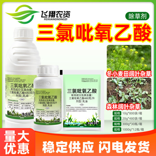 埃森480克/升三氯吡氧乙酸冬小麦田森林阔叶杂草杂灌农药除草剂