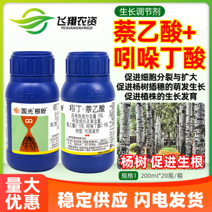 国光根盼5%吲哚丁酸萘乙酸促进杨树生根生长发育植物生长调节剂