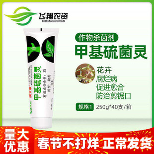 膜立康3%甲基硫菌灵植物兰花切口杀菌保护剂伤口愈合剂涂抹剂250g