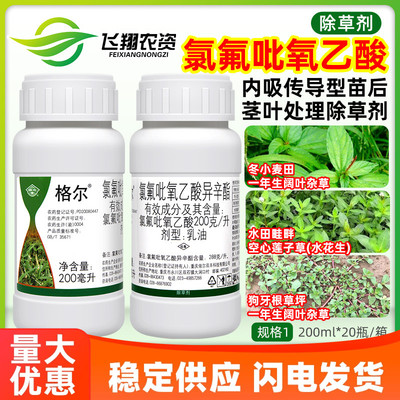 国光格尔20%氯氟吡氧乙酸小麦水稻田草坪一年生阔叶杂草除草剂