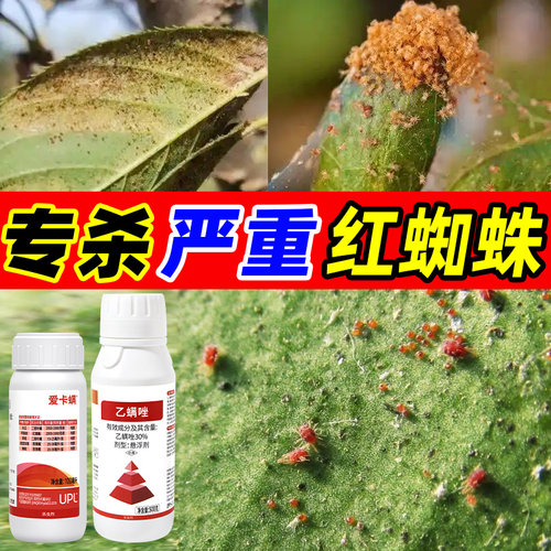 红蜘蛛专用药爱卡螨金满枝阿维哒螨灵联苯肼酯乙螨唑杀虫杀螨组合