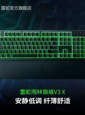 Razer雷蛇雨林狼蛛V3 X幻彩RGB背光有线电脑办公游戏电竞薄膜键盘