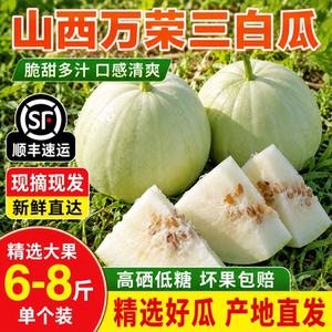 山西运城万荣三白瓜低糖西瓜