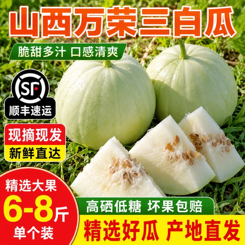 山西运城万荣三白瓜低糖西瓜