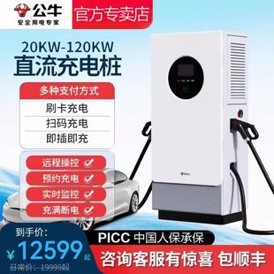 120KW双****快充商用共享充 公牛充电新能源电动汽车直流充电桩60KW