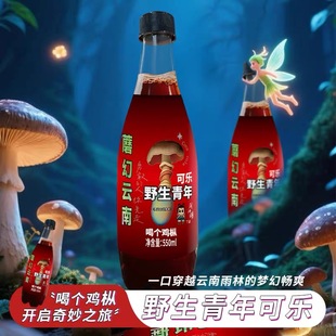 大理本地发货云南野生菌见手青可乐快乐水风味碳酸饮料网红款新奇