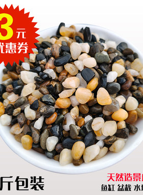 5斤天然鹅卵石原生溪流石鱼缸铺底砂水箱装饰过滤造景小石子豆石