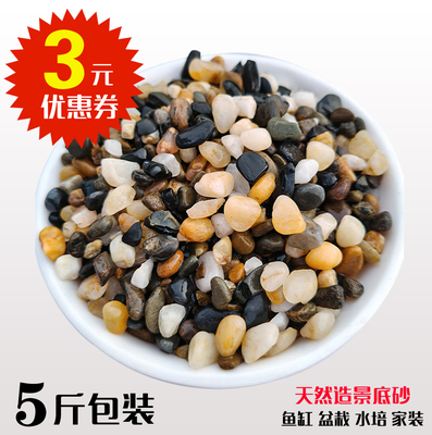 5斤天然鹅卵石原生溪流石鱼缸铺底砂水箱装饰过滤造景小石子豆石