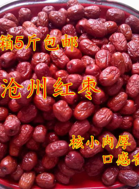 新枣沧州枣子产免清洗红枣干特级金丝小枣5斤包邮煲粥泡茶零食