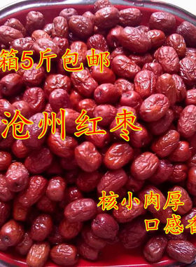 沧州特级金丝小枣5斤包邮