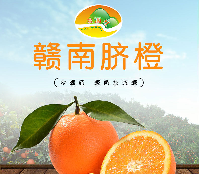 江西正宗赣南脐橙新鲜10斤甜橙子现货孕妇当季水果包邮