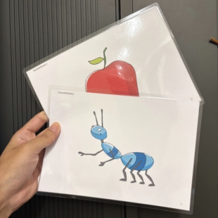 Sounds Great自然拼读塑封闪卡单词卡培训