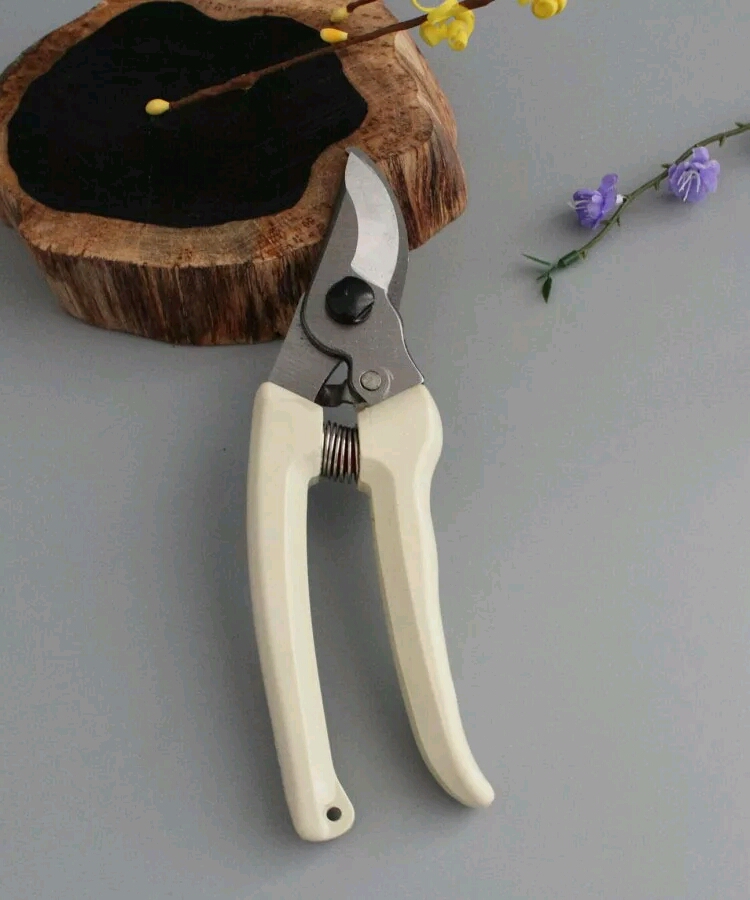 园艺剪刀园艺工具修枝剪粗树枝剪修花剪刀花木修剪工具 枝剪钳