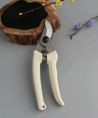 园艺剪刀工具树枝花木