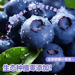 大叔臻选花香蓝莓F6特大果18以上口感巅峰 老粉闭眼入125克X8盒