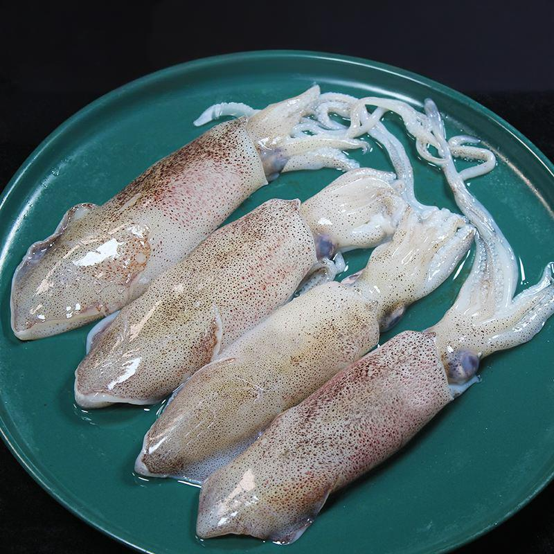 大叔臻选新鲜笔管鱼海兔净重