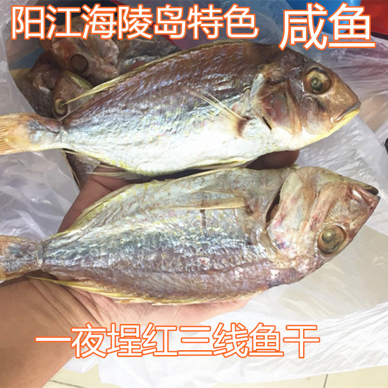 包邮 阳江一夜埕咸鱼干海陵岛特色红三线鱼干 海产品干货 500克装